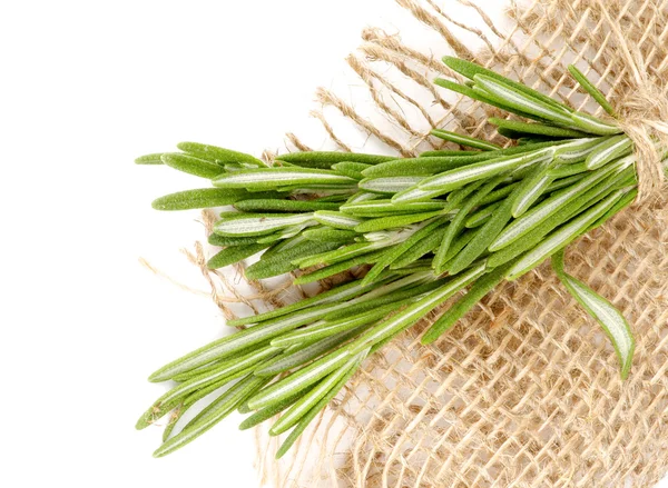 Rosemary — Stock Photo, Image