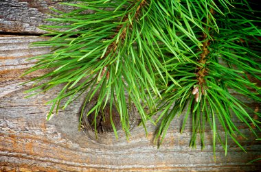 christmas dekorasyon