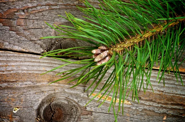 christmas dekorasyon