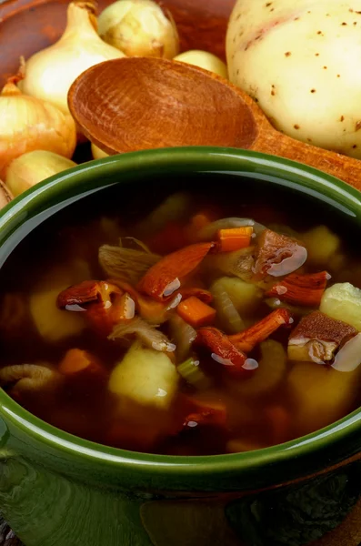 ジロル茸のスープ — ストック写真