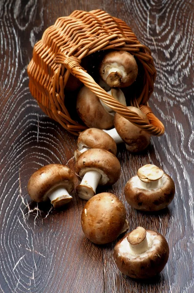 Portabello гриб — стокове фото