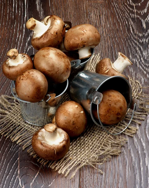 Champignon Portabello — Photo