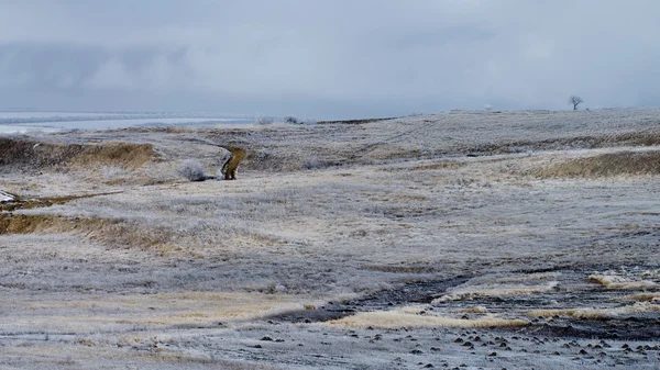 Frosty landschap — Stockfoto