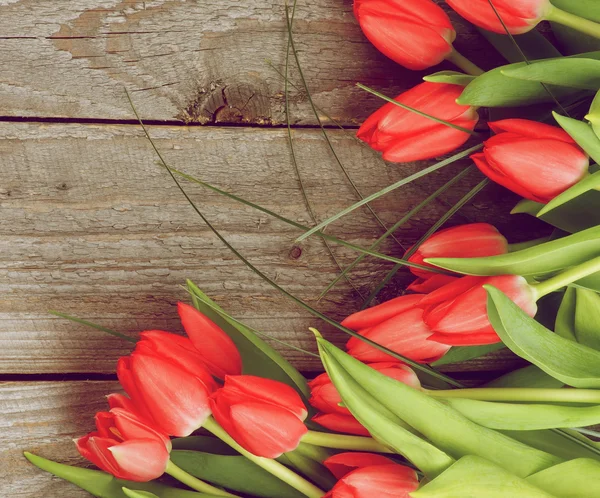 Spring Tulips — Stock Photo, Image