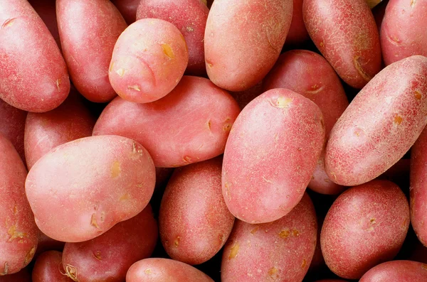 Kırmızı patates arka plan — Stok fotoğraf
