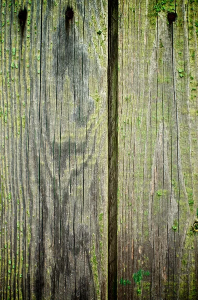 Cracked Wooden Background — Stock Photo, Image