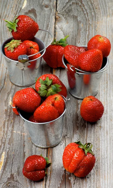 Căpșuni coapte — Fotografie, imagine de stoc