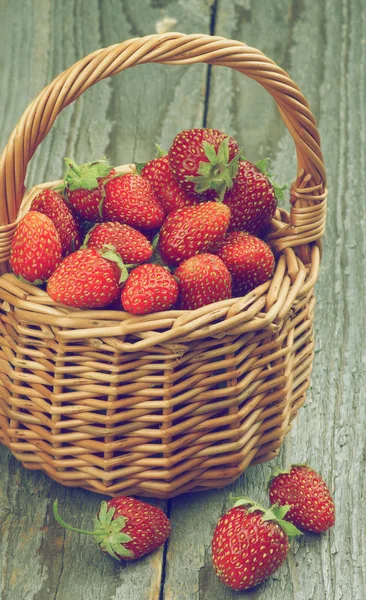 Forest Strawberries — Stock Photo, Image