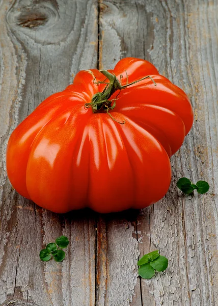 Corazón de Carne de Tomate — Foto de Stock