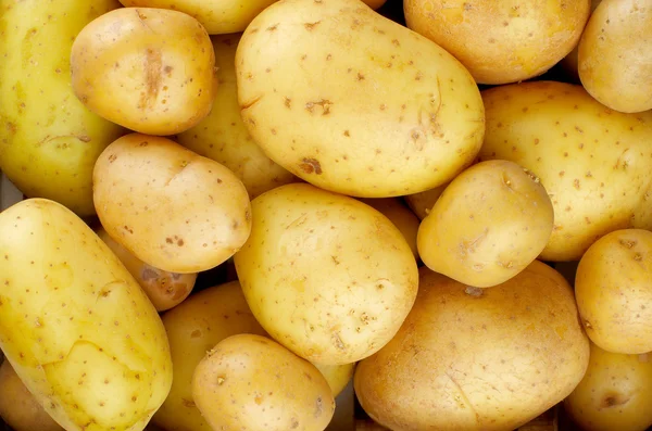 Gele aardappelen achtergrond — Stockfoto