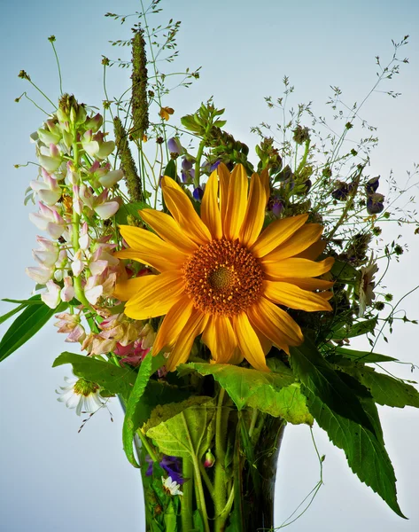 Buquê de flores silvestres — Fotografia de Stock