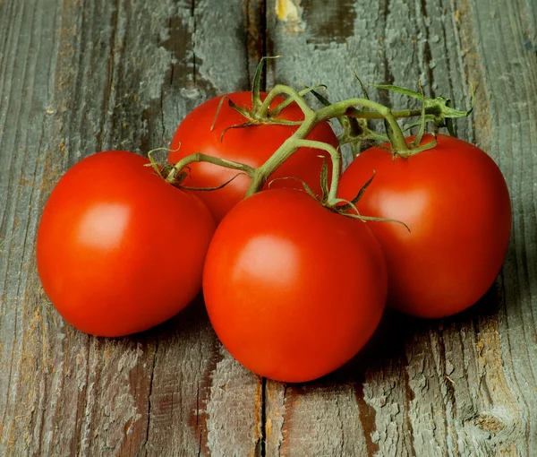 Tomates de uva — Foto de Stock