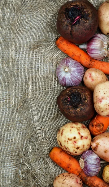 Marco de verduras crudas — Foto de Stock