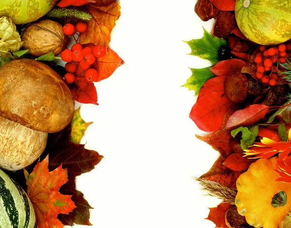 Autumn Harvest Frames — Stock Photo, Image