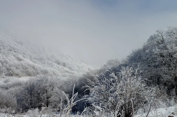 Inverno paesaggio innevato — Foto Stock