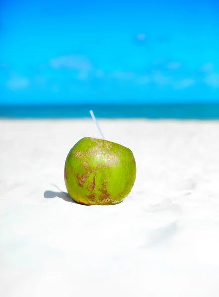 Coco en la arena blanca playa cerca del océano en el soleado día de verano —  Fotos de Stock