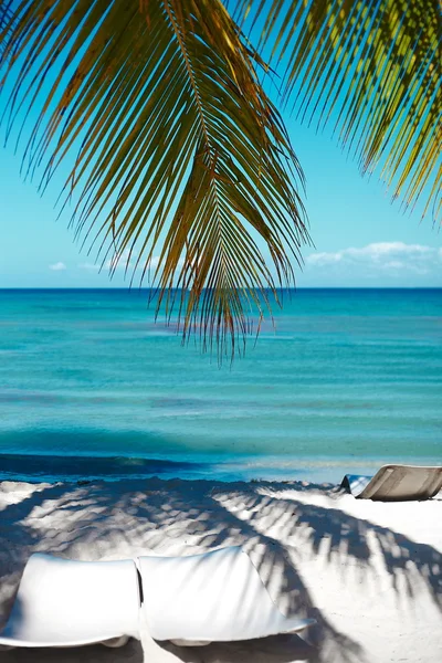 Tropický letní pláž s Palmový list stromu větev moře a nebe pozadím — Stock fotografie