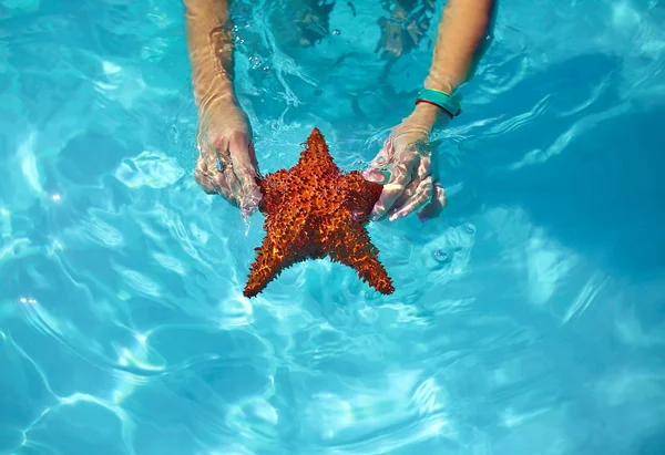 在女孩的美丽鲜艳的海星手在明亮的蓝色夏装水 — 图库照片