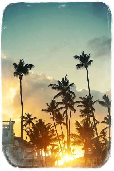 在美丽的日落海滩度假村在热带地区的复古风格的照片 — 图库照片