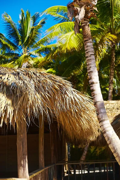 Tropischer Sommerstrand mit Palmblatt Zweig Meer und Himmel Hintergrund — Stockfoto