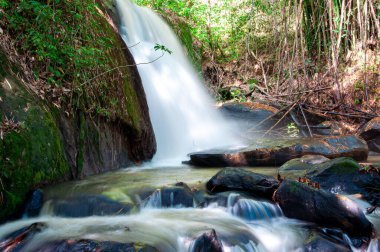 Gelin örtüsü ve berrak suları olan şelale, kayalar ve yerel bitkilerle çevrili..