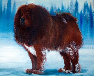 Tibetli mastiff köpek