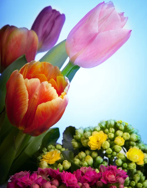 Flowers for  eighth March — Stock Photo, Image