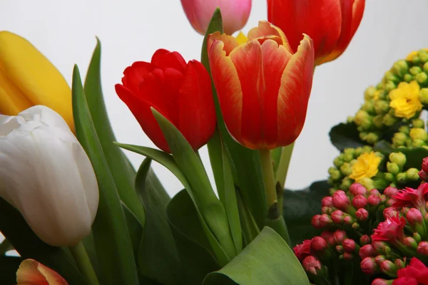 Bloemen voor achtste maart — Stockfoto