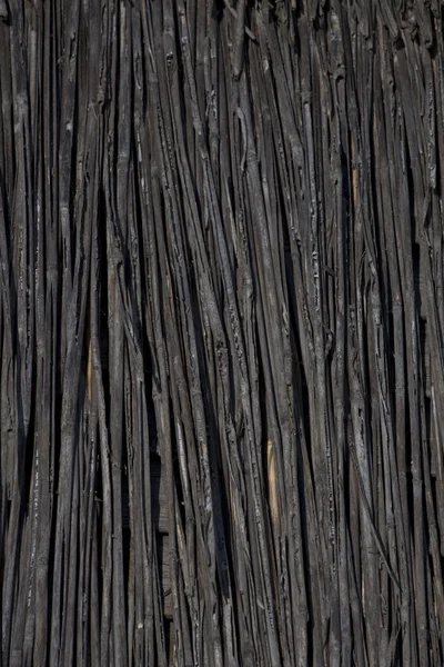 Природный текстур Астрахань — стоковое фото