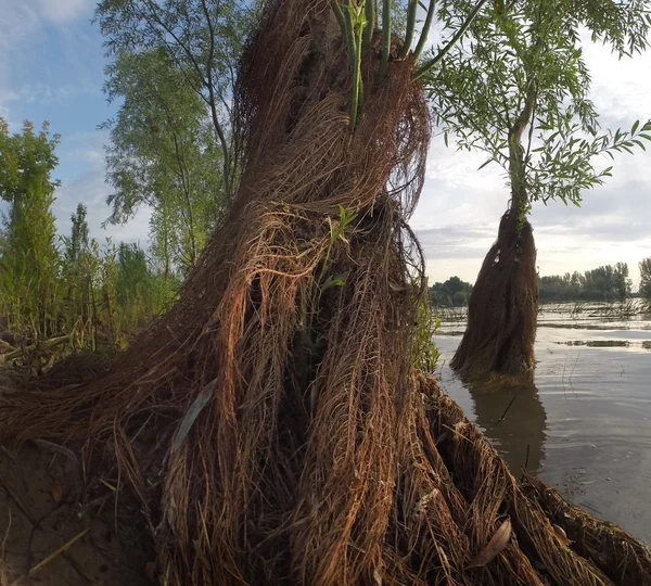 Astrachan natuur landschap — Stockfoto