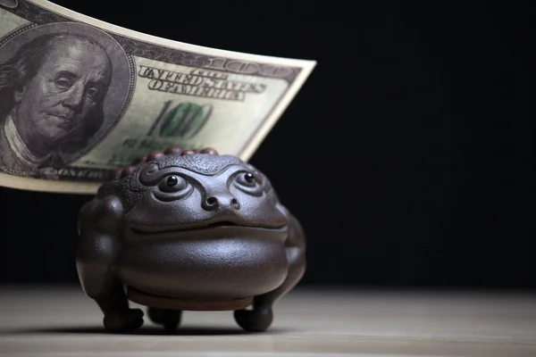 Image Toad Money Dark Background — Stock Photo, Image