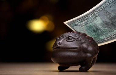 Kara kurbağasının resmi koyu arkaplan 