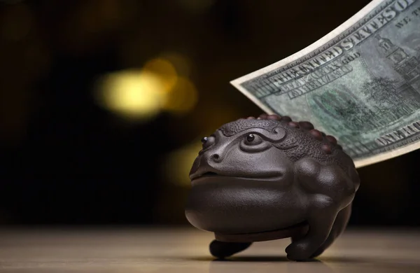 Image Toad Money Dark Background — Stock Photo, Image