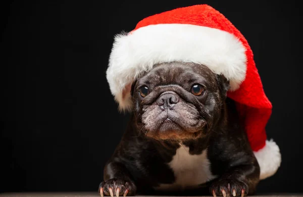 Imagen Perro Sombrero Fondo Oscuro —  Fotos de Stock