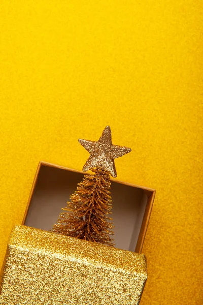 Image Gold Box Fir Tree — Stock Photo, Image
