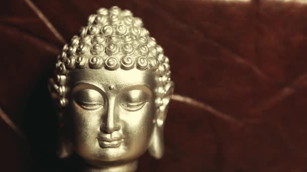 Aufnahmen Vom Dunklen Hintergrund Des Buddha — Stockvideo