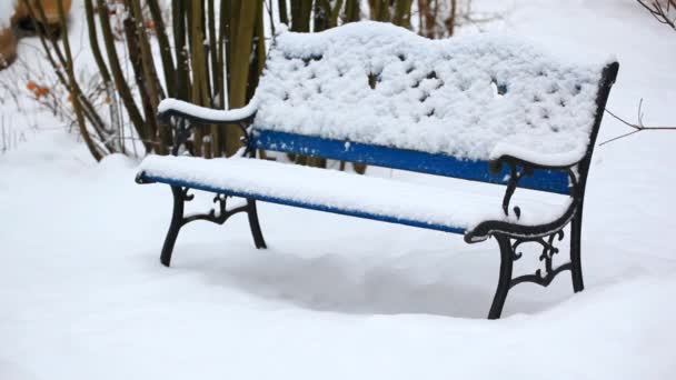 Images Banc Parc Neige — Video