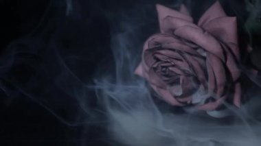 Çiçek dumanının karanlık arkaplan görüntüleri 