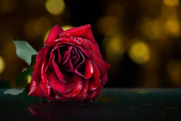 Immagine Fiore Goccia Acqua — Foto Stock