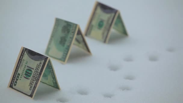 Beeldmateriaal Van Geld Sneeuw Achtergrond — Stockvideo