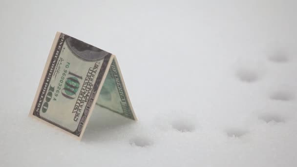 Beeldmateriaal Van Geld Sneeuw Achtergrond — Stockvideo