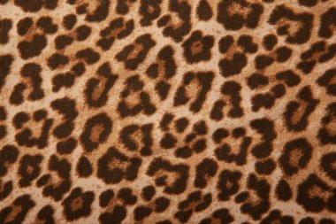 Leopar tekstil arkaplanının resmi 