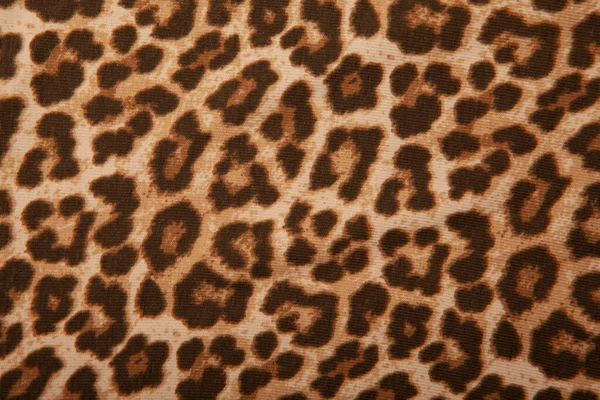 Image Leopard Textile Background — Stock Photo, Image