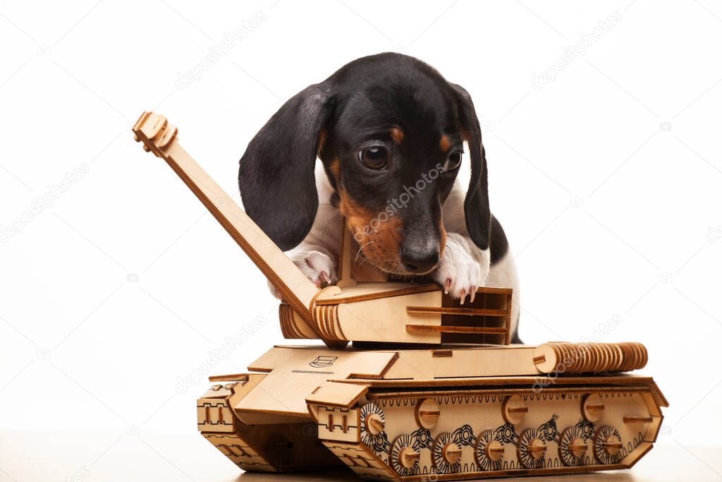 image of dog tank white background 