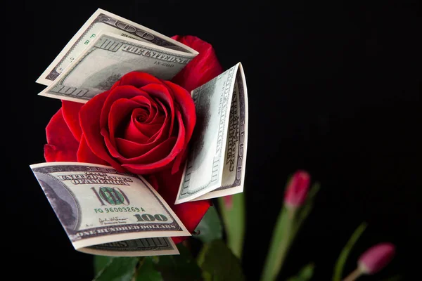 Bild Der Blume Geld Dunklen Hintergrund — Stockfoto