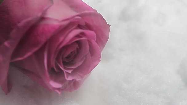 Images Fumée Fleurs Fond Neige — Video