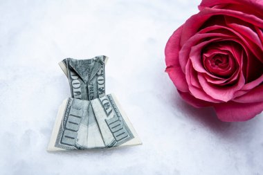 Çiçek parası görüntüsü kar arkaplanı 