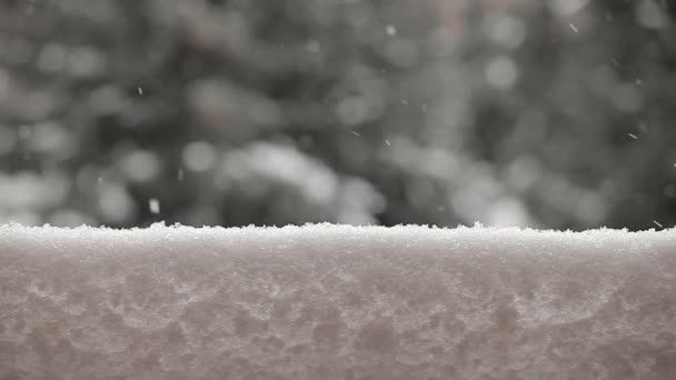 Υλικό Από Φόντο Χιονισμένου Δέντρου — Αρχείο Βίντεο