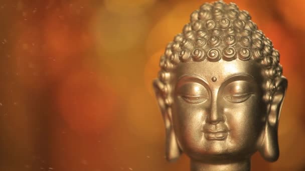 Rekaman Debu Kepala Buddha — Stok Video