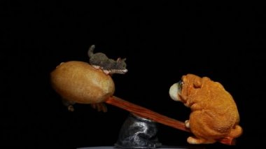footage of dog cat mouse figure
